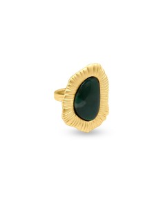 ARNICA ORO 2