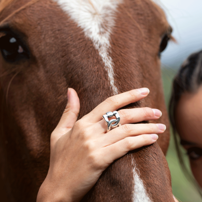 Anillo charro discount