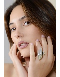 Anillo Joux 2