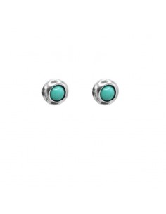 Pendientes Diana