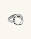 Day and Night Ring